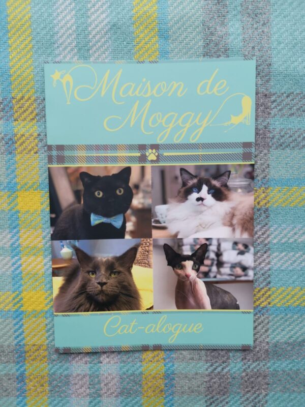 Maison de Moggy Catalogue (web order)
