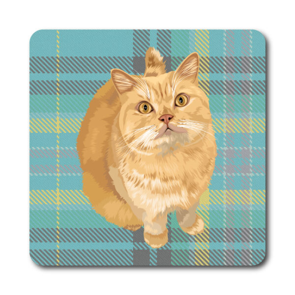 Sebastian Tartan Coaster (web order)