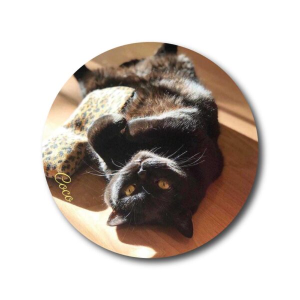 Coco Photograph Coaster (web order)