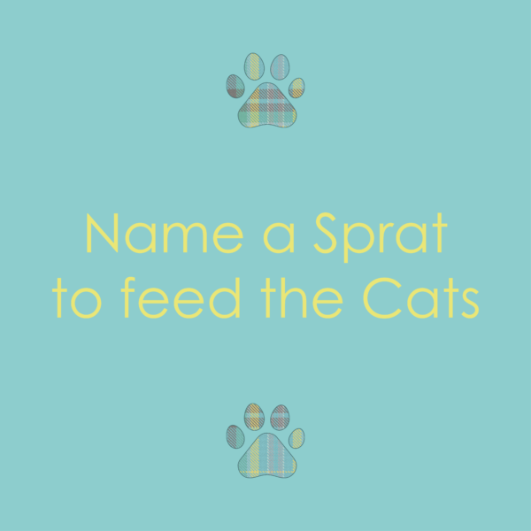 Name a Sprat to feed the Cats