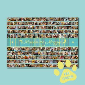 Maison de Moggy 2024 Calendar Cover, featuring Elodie collage pictures